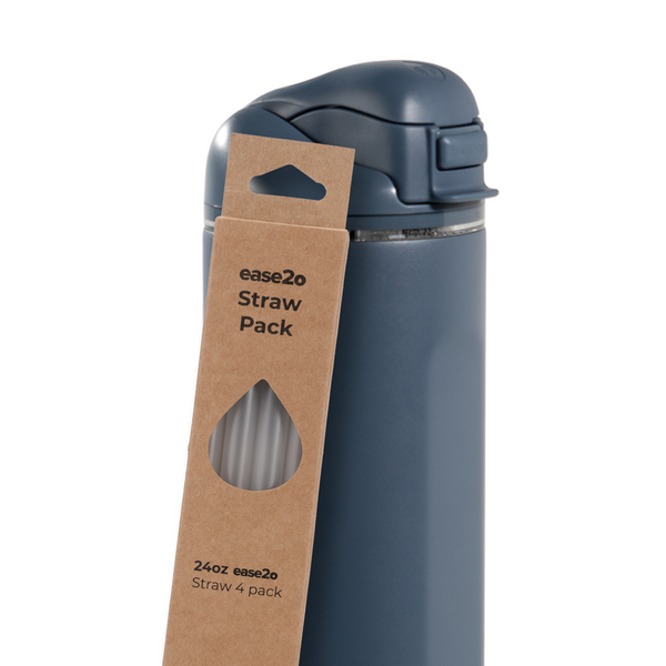 Ease2o Straws 4 Pack 24oz N5